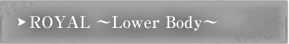 LowerBody