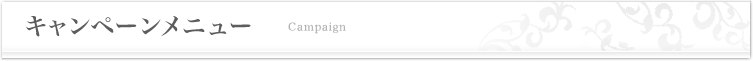 キャンペーンメニュー