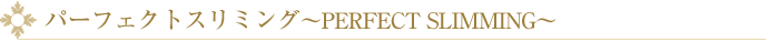 パーフェクトスリミング