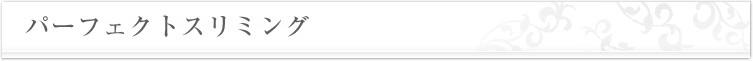 パーフェクトスリミング