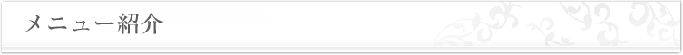メニュー紹介