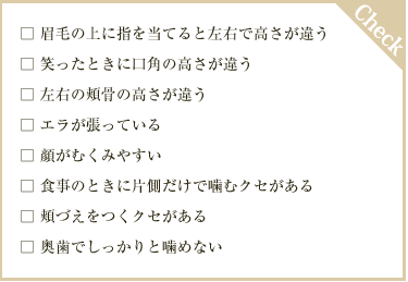 チェックリスト