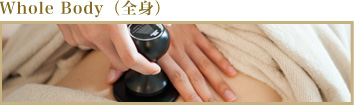 WholeBody(全身)